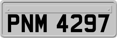 PNM4297