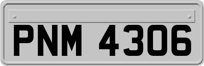 PNM4306
