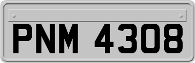 PNM4308