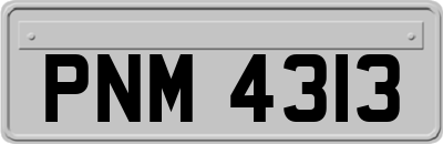 PNM4313