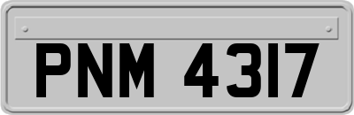 PNM4317