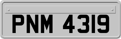 PNM4319