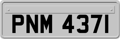 PNM4371