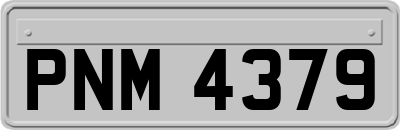PNM4379