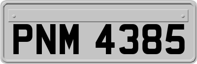 PNM4385