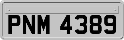 PNM4389