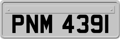 PNM4391
