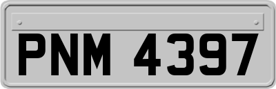 PNM4397