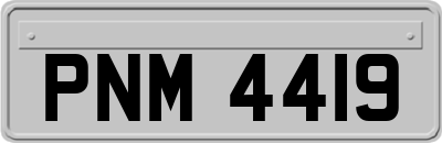 PNM4419