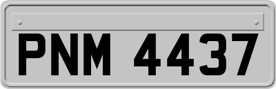 PNM4437