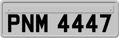 PNM4447