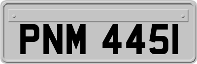 PNM4451