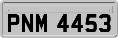 PNM4453