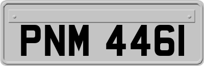 PNM4461