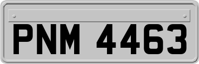 PNM4463