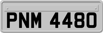 PNM4480