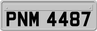 PNM4487