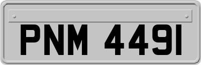 PNM4491
