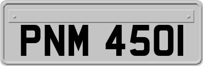PNM4501
