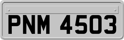 PNM4503