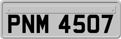 PNM4507