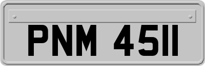 PNM4511