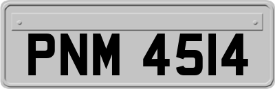 PNM4514
