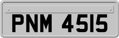 PNM4515