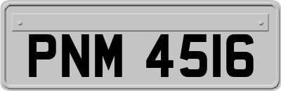PNM4516