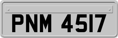 PNM4517