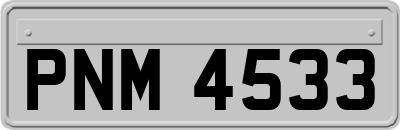 PNM4533