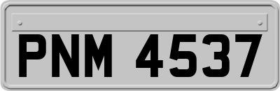PNM4537