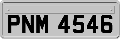 PNM4546