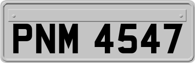 PNM4547