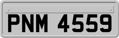 PNM4559