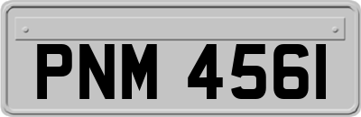 PNM4561