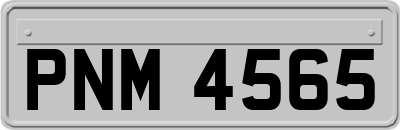 PNM4565