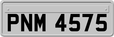 PNM4575