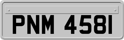 PNM4581