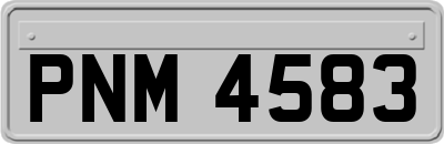 PNM4583
