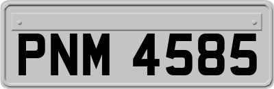 PNM4585