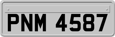 PNM4587