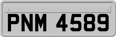 PNM4589
