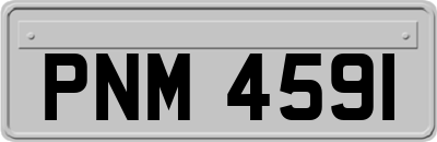 PNM4591