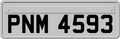 PNM4593