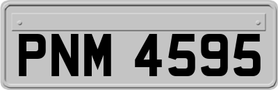 PNM4595