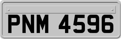 PNM4596