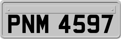 PNM4597