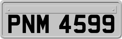 PNM4599