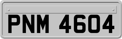 PNM4604